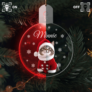 GeckoCustom Custom Photo Cat Circle Led Acrylic Ornament Christmas Gift For Cat Lovers HA75 891650 3 inches