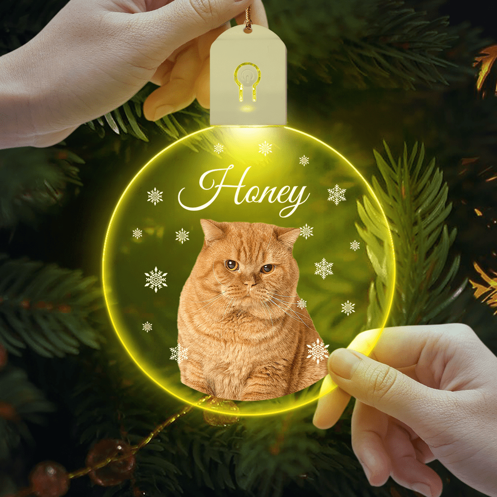 GeckoCustom Custom Photo Cat Circle Led Acrylic Ornament Christmas Gift For Cat Lovers HA75 891650 3 inches