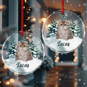 GeckoCustom Custom Photo Cat Glass Ornament Christmas Gift For Cat Lovers HA75 891624 8 cm