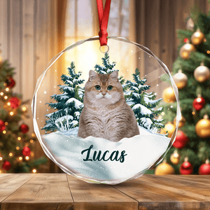 GeckoCustom Custom Photo Cat Glass Ornament Christmas Gift For Cat Lovers HA75 891624 8 cm