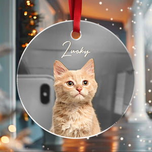 GeckoCustom Custom Photo Cat Mirrored Acrylic Ornament For Christmas HA75 891644