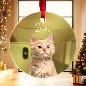 GeckoCustom Custom Photo Cat Mirrored Acrylic Ornament For Christmas HA75 891644