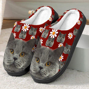 GeckoCustom Custom Photo Dog Cat And Accessories Slipper N369 HN590