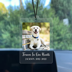 GeckoCustom Custom Photo Dog, Cat Forever In My Heart Memorial Car Hanging Ornament N304 HA75 891444