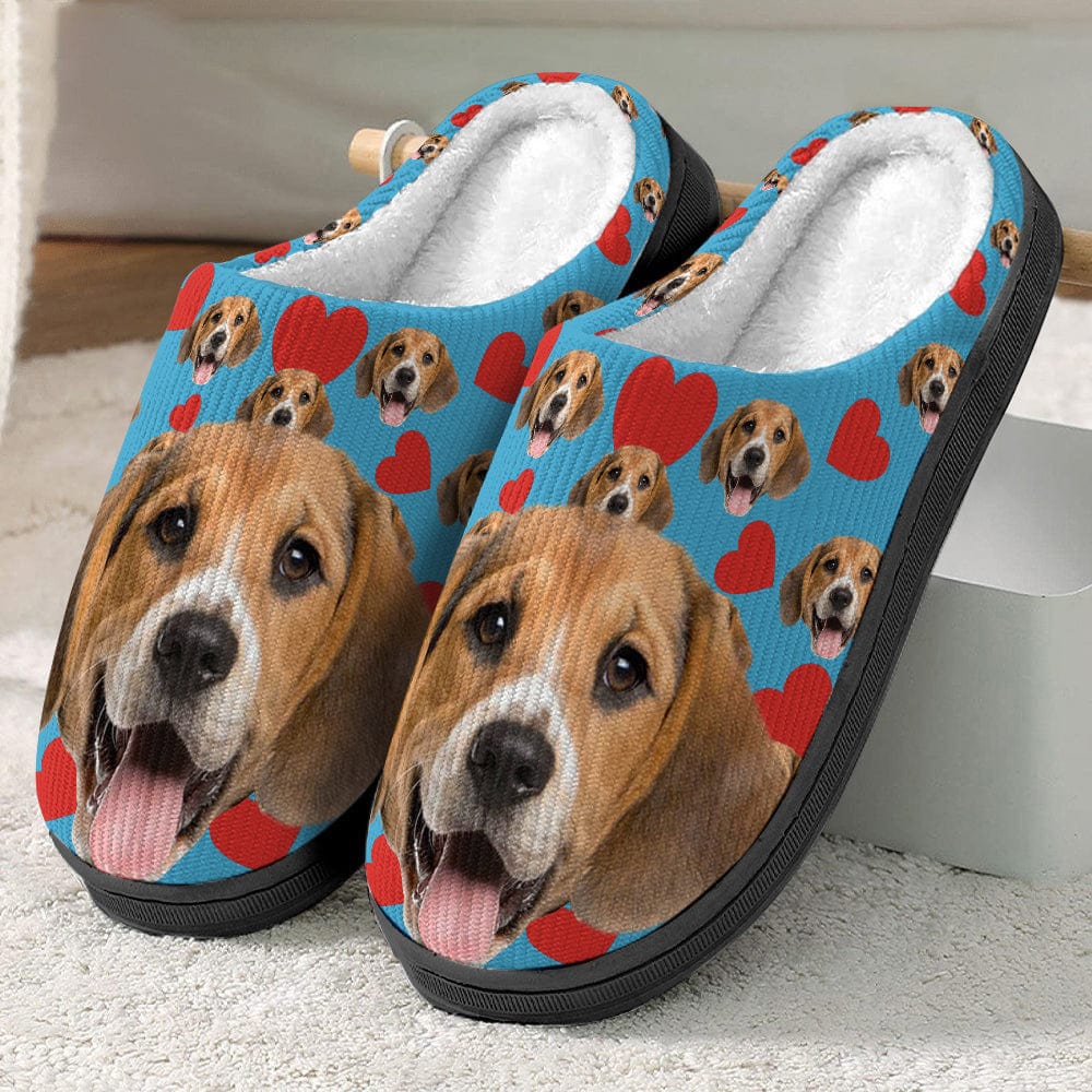 GeckoCustom Custom Photo Dog Cat With Accessories Slipper TA29 888783