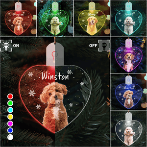 GeckoCustom Custom Photo Dog Christmas Led Acrylic Ornament Christmas Gift For Dog Lovers HA75 891714 3in