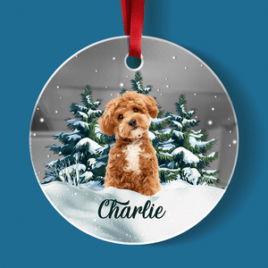 GeckoCustom Custom Photo Dog Mirror Ornament For Christmas HA75 891883