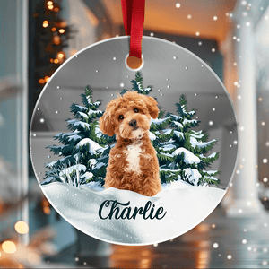 GeckoCustom Custom Photo Dog Mirror Ornament For Christmas HA75 891883