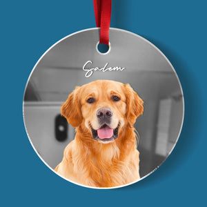 GeckoCustom Custom Photo Dog Mirrored Acrylic Ornament For Christmas HA75 891638