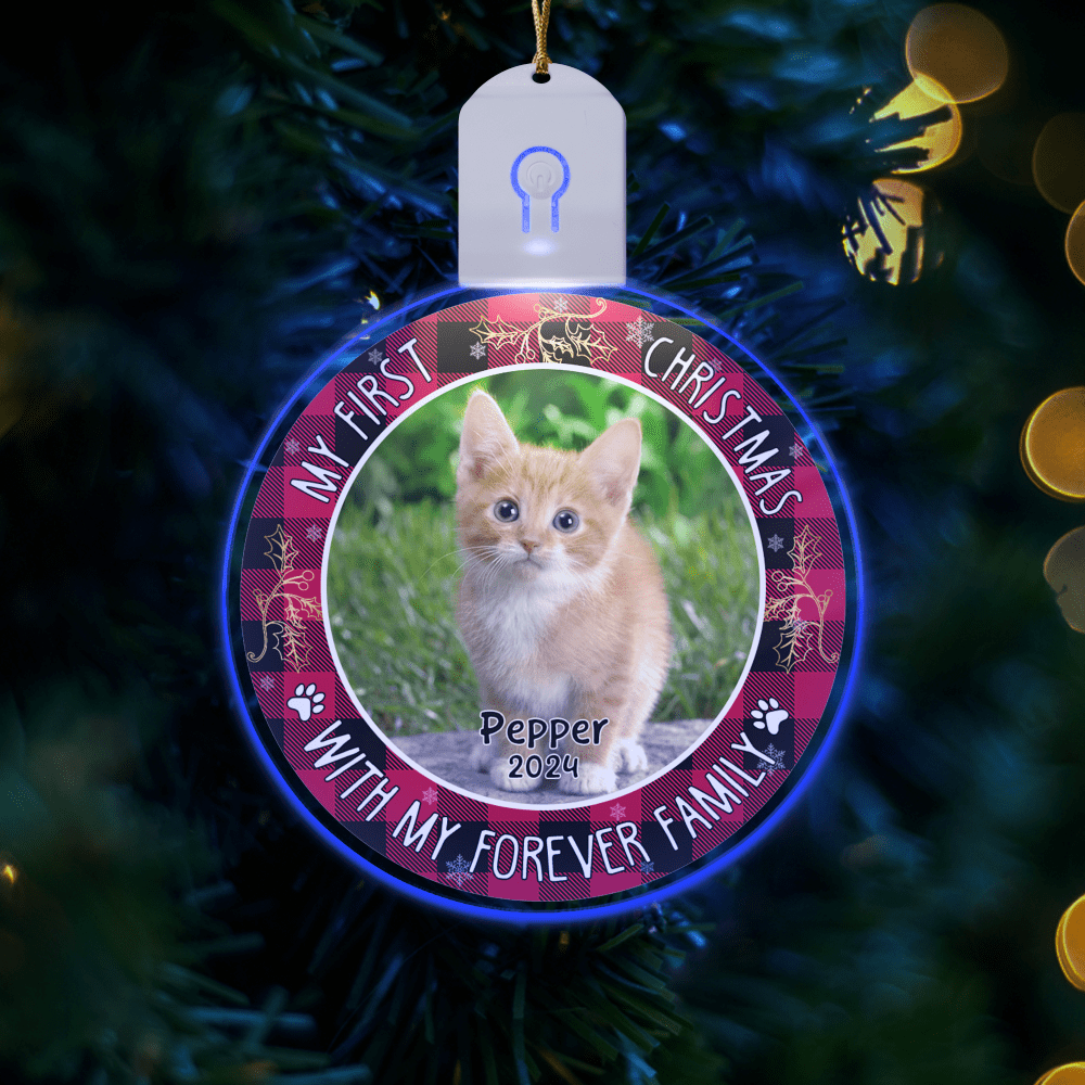 GeckoCustom Custom Photo First Christmas Pet Lovers Circle Led Acrylic Ornament HO82 893306 3 inches