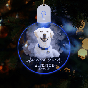 GeckoCustom Custom Photo Forever Love Dog Christmas Circle Led Acrylic Ornament HO82 893258 3 inches