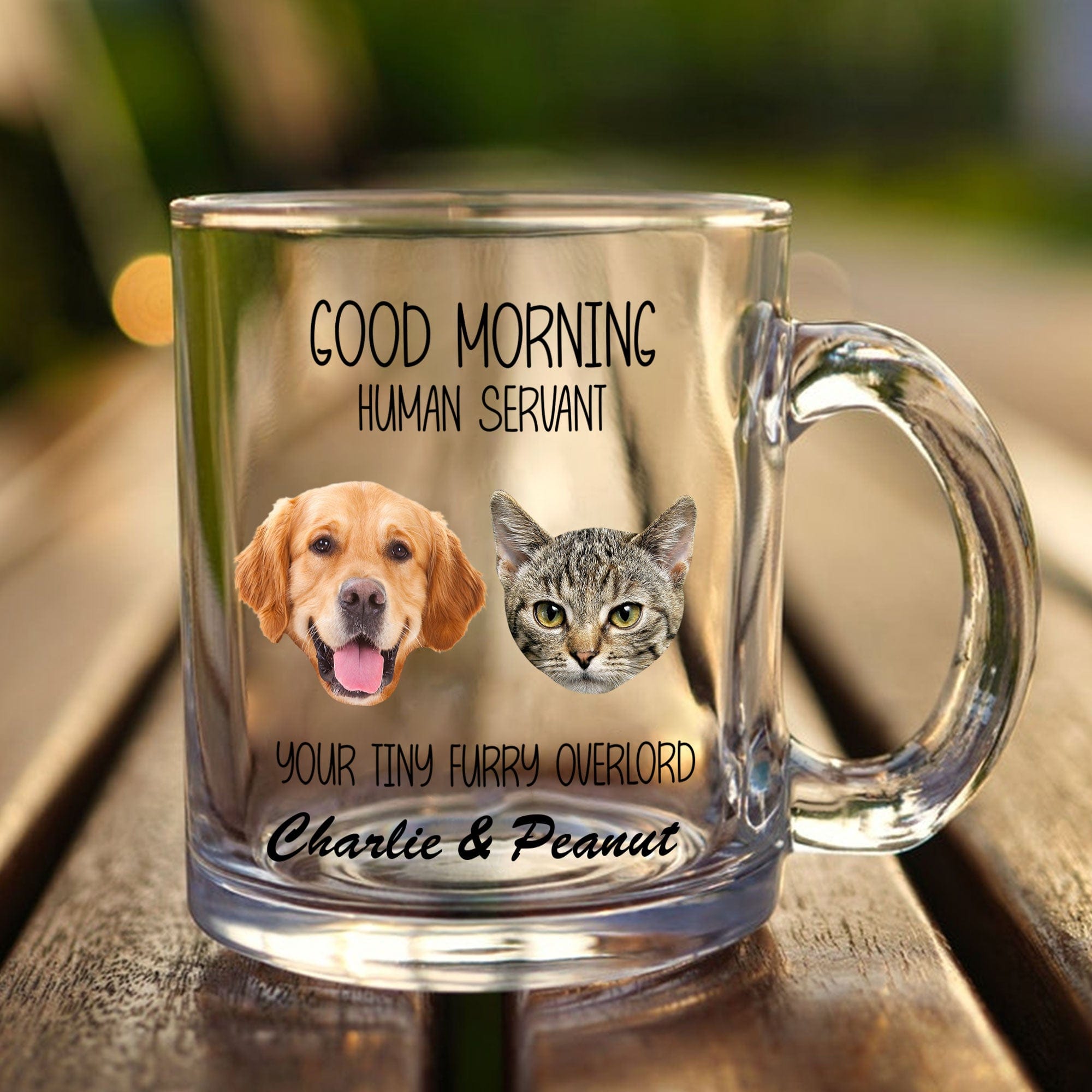 GeckoCustom Custom Photo Good Morning Human Servant For Dog Cat Lovers Glass Mug HO82 891120 11oz