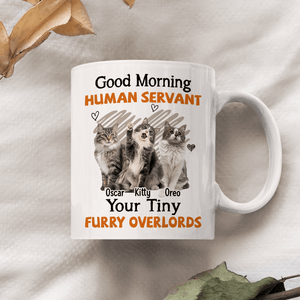 GeckoCustom Custom Photo Good Morning Human Servant Pet Mug N304 890264