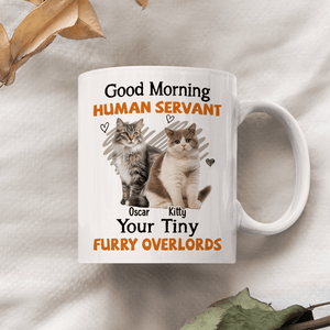 GeckoCustom Custom Photo Good Morning Human Servant Pet Mug N304 890264