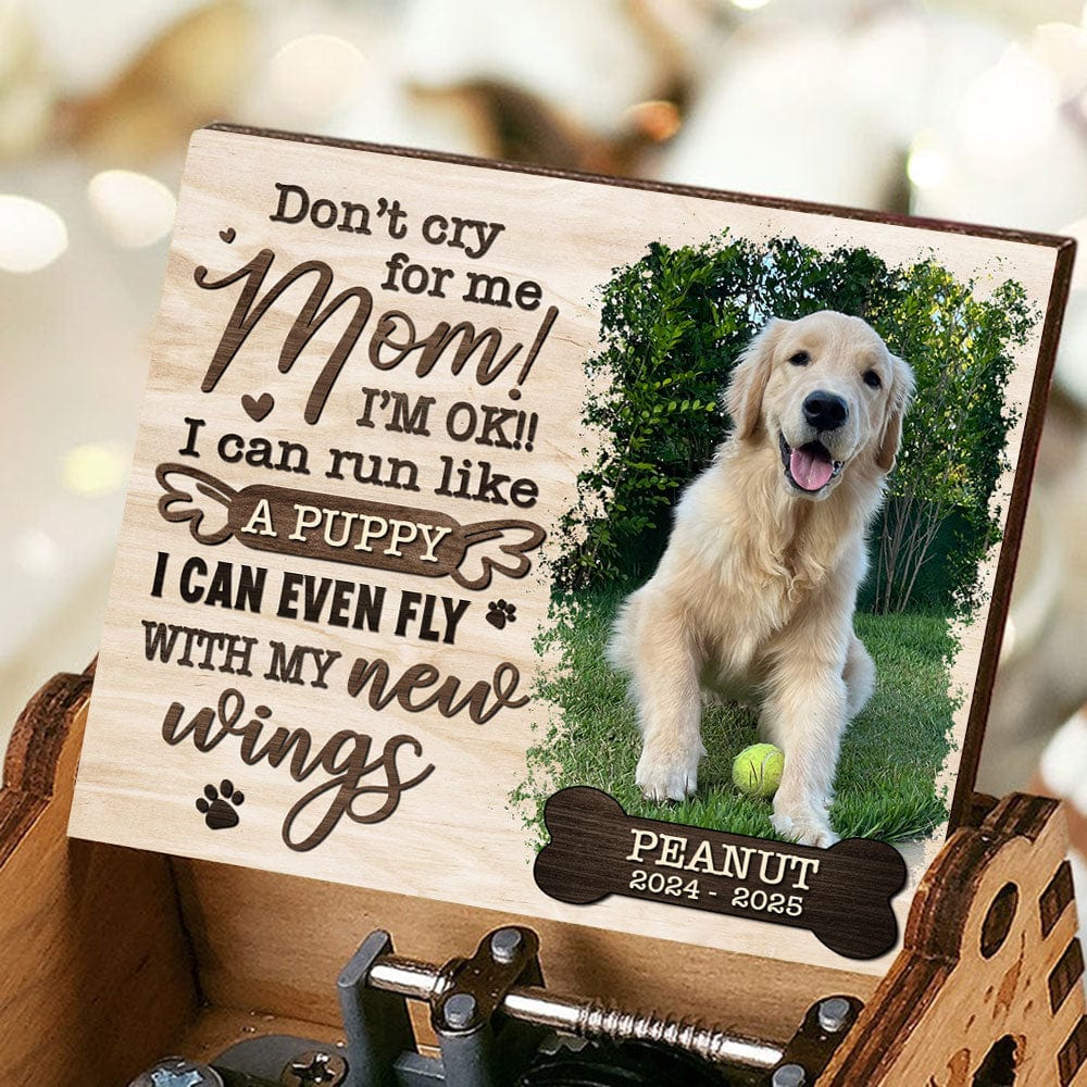 GeckoCustom Custom Photo I Can Run With My New Wings Dog Cat Memorial Music Box HO82 893500