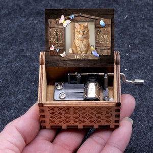 GeckoCustom Custom Photo If Love Could Have Saved You Dog Cat Memorial Music Box HO82 893502