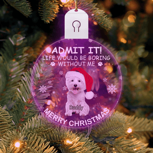 GeckoCustom Custom Photo Life Would Be Boring Without Me Dog Cat Circle Led Acrylic Ornament HO82 893218 3 inches