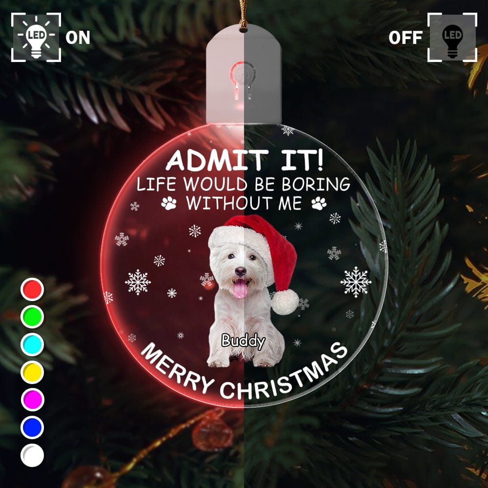 GeckoCustom Custom Photo Life Would Be Boring Without Me Dog Cat Circle Led Acrylic Ornament HO82 893218 3 inches
