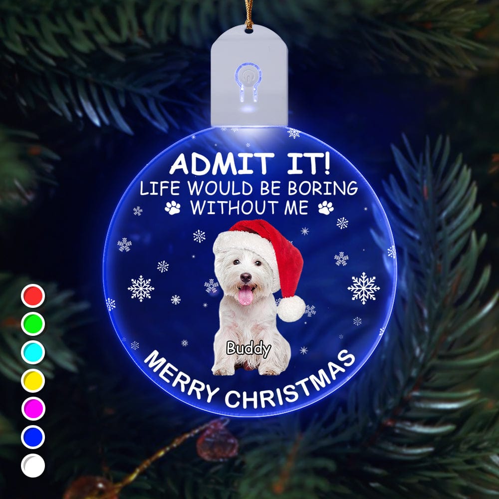 GeckoCustom Custom Photo Life Would Be Boring Without Me Dog Cat Circle Led Acrylic Ornament HO82 893218 3 inches