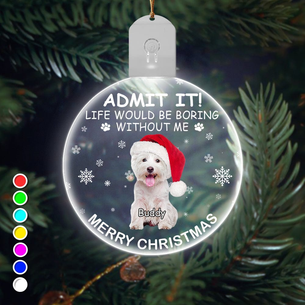 GeckoCustom Custom Photo Life Would Be Boring Without Me Dog Cat Circle Led Acrylic Ornament HO82 893218 3 inches
