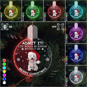 GeckoCustom Custom Photo Life Would Be Boring Without Me Dog Cat Circle Led Acrylic Ornament HO82 893218 3 inches