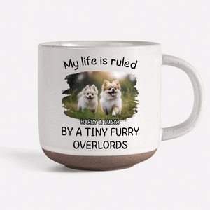 GeckoCustom Custom Photo Ruled By Tiny Furry Overlord For Dog Lover Pottery Mug TH10 892085 12oz