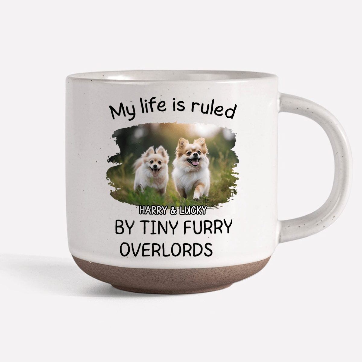 GeckoCustom Custom Photo Ruled By Tiny Furry Overlord For Dog Lover Pottery Mug TH10 892085 12oz