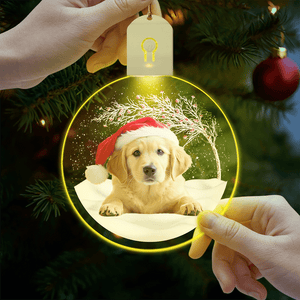 GeckoCustom Custom Photo Under Christmas Tree For Dog Lover LED Acrylic Ornament TH10 892103 3 inches