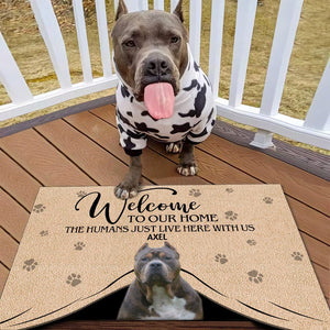 GeckoCustom Custom Photo Welcome To Our Home Dog Doormat K228 HN590