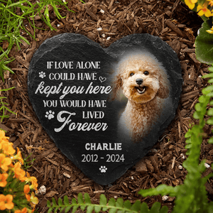 GeckoCustom Custom Photo You Would Have Lived Forever Pet Memorial Heart Shaped Stone With Stand HA75 891212