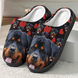 GeckoCustom Custom Plush Slippers Dog Cat Photos N369 54298 HN590