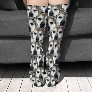 GeckoCustom Custom Portrait Photo Dog Cat Sock N304 890223