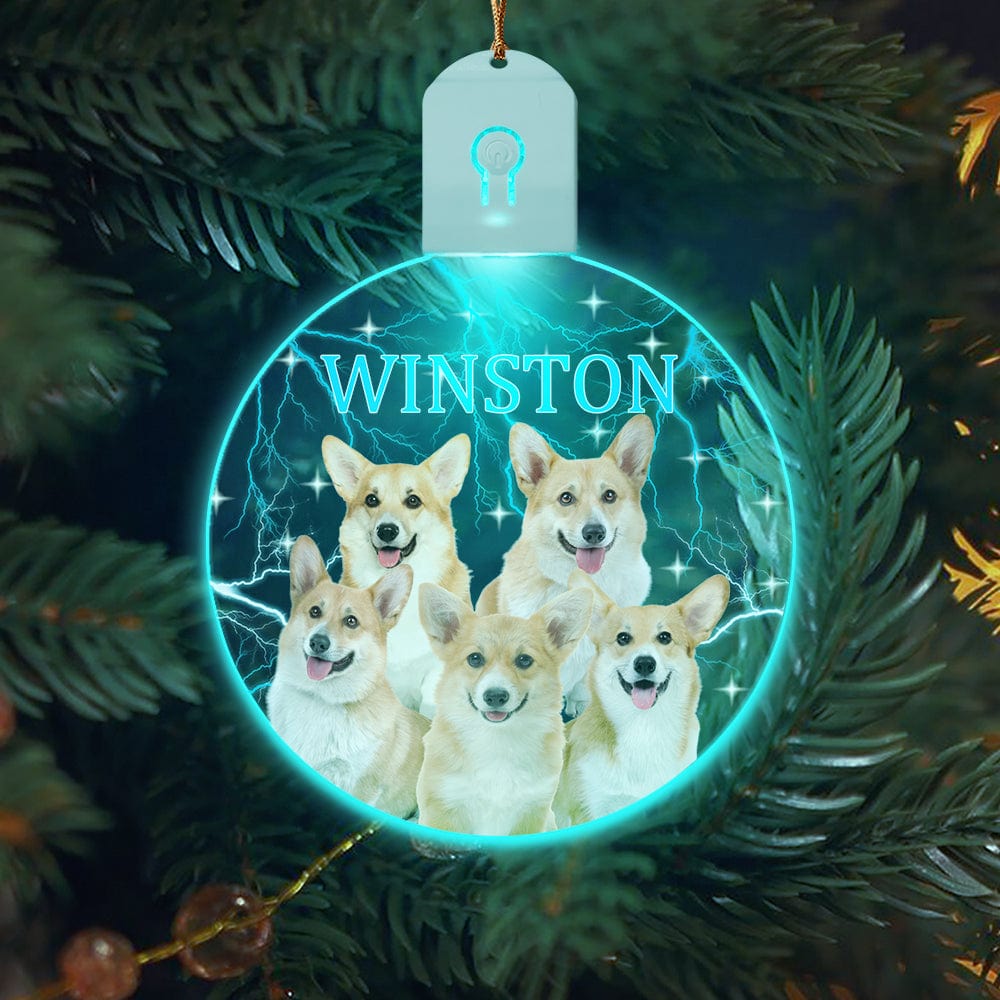 GeckoCustom Custom Portrait Photo With Retro Style Led Acrylic Ornament Christmas Gift For Dog Lovers HA75 891726 3in