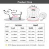 GeckoCustom Cute Pet Cat Soft Padded  Harness Vest