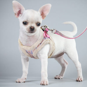 GeckoCustom Cute Pet Cat Soft Padded  Harness Vest