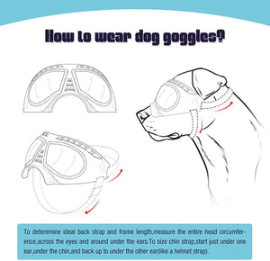 GeckoCustom Dog UV Protection Windproof Goggles