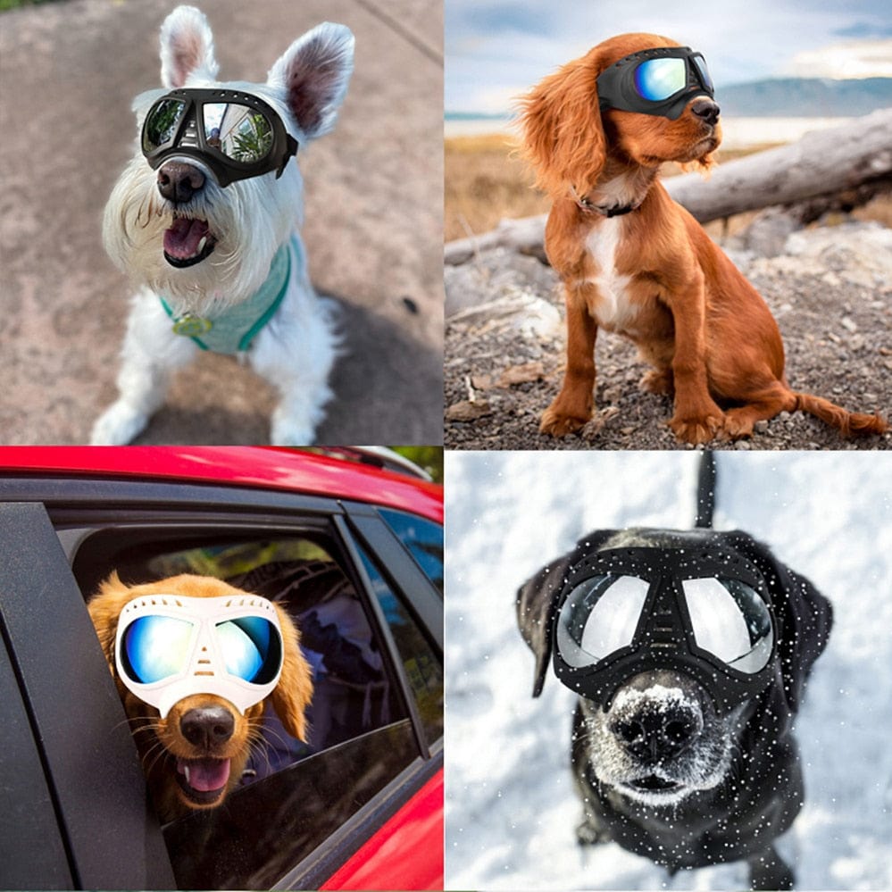 GeckoCustom Dog UV Protection Windproof Goggles
