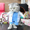 GeckoCustom Funny Cat Clothes Pirate Suit Clothes For Cat Dog Costume Clothing Corsair Halloween Clothes Dressing Up Cat Party Costume Suit Cat Doctors Clothing / Size  2