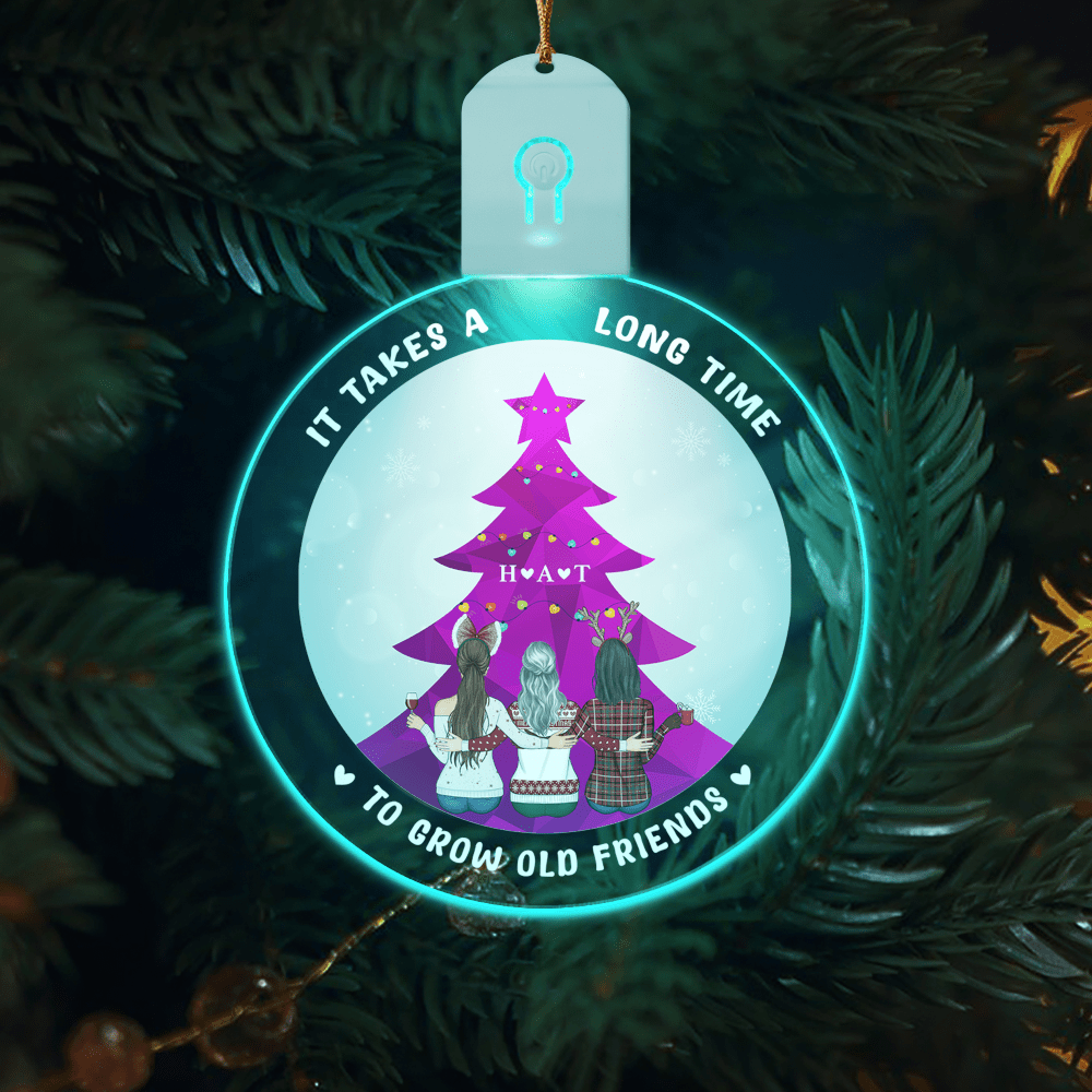 GeckoCustom Grow An Old Friend For Besties Led Acrylic Ornament For Besties HO82 893250 3 inches