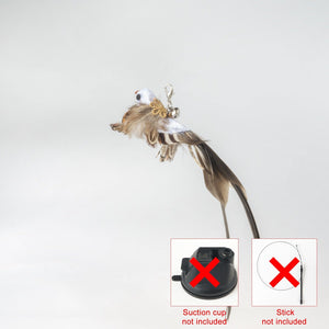 GeckoCustom Handfree Bird/Feather Cat Wand with Bell Powerful Suction Cup Interactive Toys for Cats Kitten Hunting Exercise Pet Products Replacement 06 Only