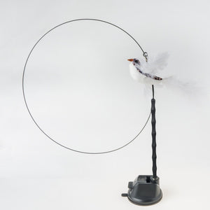GeckoCustom Handfree Bird/Feather Cat Wand with Bell Powerful Suction Cup Interactive Toys for Cats Kitten Hunting Exercise Pet Products White Sparrow Set