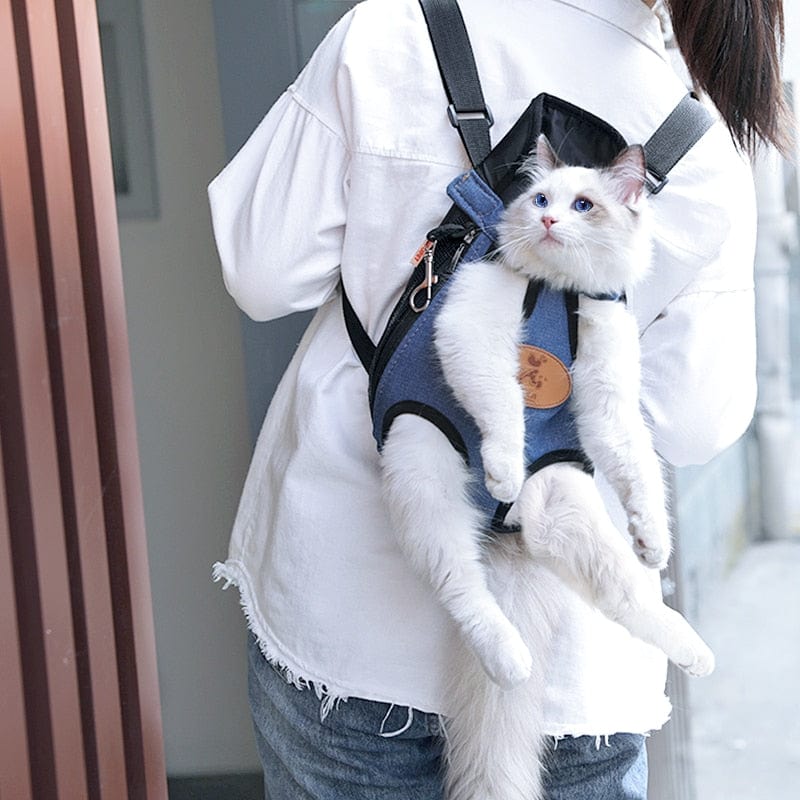 GeckoCustom HOOPET Carrier for Dogs Pet Dog Carrier Backpack Mesh Outdoor Travel Products Breathable Shoulder Handle Bags for Small Dog Cats