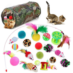 GeckoCustom Interactive Fun Dog Cat Toy Set 21pcs cat toy 1