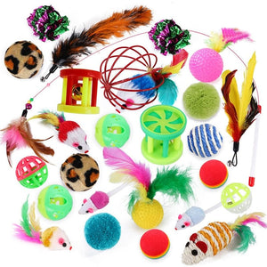 GeckoCustom Interactive Fun Dog Cat Toy Set 26pcs cat toy