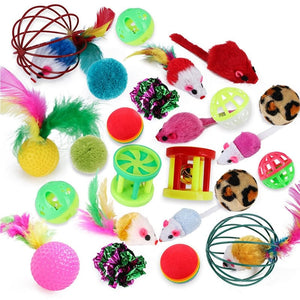 GeckoCustom Interactive Fun Dog Cat Toy Set 24pcs cat toy