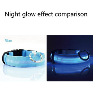 GeckoCustom LED Glowing Dog Collars Rechargeable Waterproof Luminous Collar Adjustable Dog Night Light Collar Pet Dog Safety Necklace