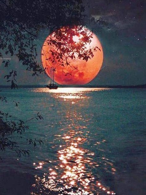 GeckoCustom New DIY 5D Diamond Moon Tree Full Round Painting FDX26 / 20x30cm