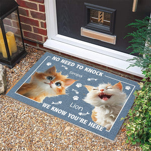 GeckoCustom No Need To Knock Cat Doormat Personalized Gift HO82 893510