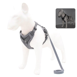 GeckoCustom No Pull Dog Harness and Leash Set Adjustable Pet Harness Vest For Small Dogs Cats Reflective Mesh Dog Chest Strap French Bulldog Gray / S 2-4 kg