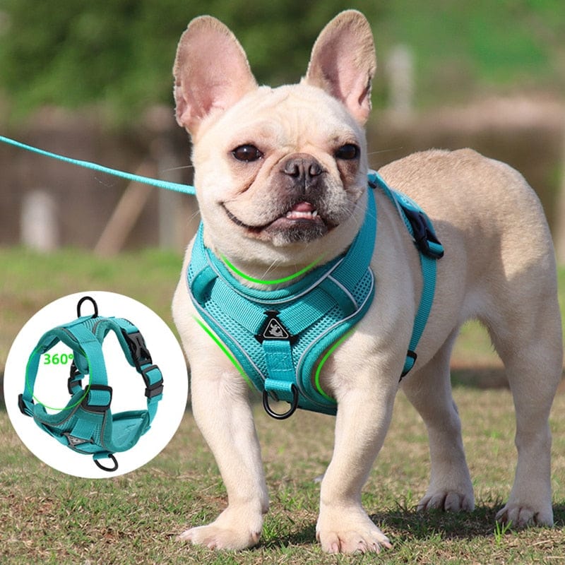GeckoCustom No Pull Dog Harness and Leash Set Adjustable Pet Harness Vest For Small Dogs Cats Reflective Mesh Dog Chest Strap French Bulldog